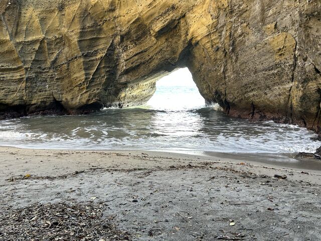 �Y��ł���_���{�A