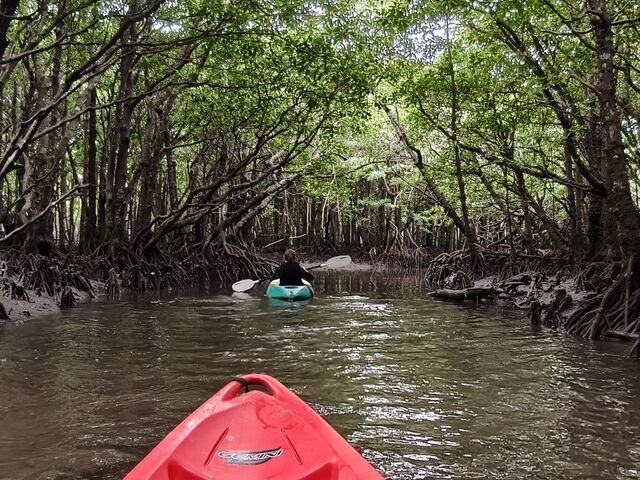 �}���O���[�u�̃J�k�[�̌�_�O�����s���O���]�[�gStarOcean