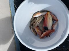 �炢����ۂ̎ʐ^1