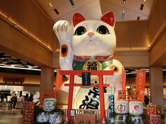 yosshy����̃C�I�����[���튊�ւ̓��e�ʐ^1