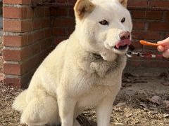 �n�b�s�[�z�[�X�t�@�[���̎ʐ^1