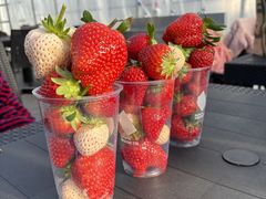 Refarm YOSHIMI 370�̎ʐ^3