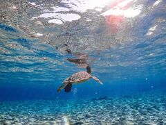 ���������MONKEY NAVY�ւ̓��e�ʐ^1