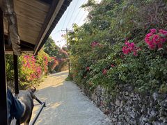 ���d�R�ό��t�F���[�̎ʐ^2