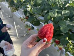 ������_���̎ʐ^1