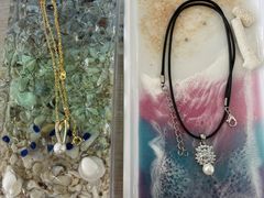 �E�~�m�z�E�Z�L�̎ʐ^3