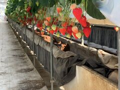 �����򃌃W���[�_���̎ʐ^3