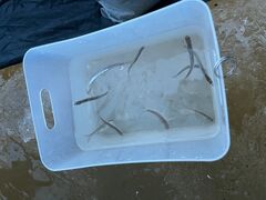 SUP&WIND�g�Ε��̎ʐ^1