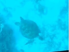 �܂��͂������邭��̎ʐ^1