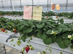 �����������h�̎ʐ^1