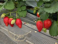 �����������h�̎ʐ^2