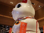 yosshy����̃C�I�����[���튊�̓��e�ʐ^5