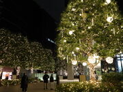 yosshy����̃~�b�h�����h�X�N�G�A�̓��e�ʐ^2