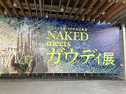 harusu�����NAKED meets �K�E�f�B�W�̓��e�ʐ^1