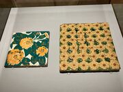 harusu�����NAKED meets �K�E�f�B�W�̓��e�ʐ^2