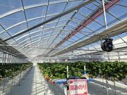 �낫����̂����ӂ��[�ނ̓��e�ʐ^2