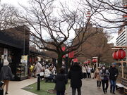 yosshy����̋��V���`���� �@�t�]�[���i����G���A�j�̓��e�ʐ^2