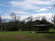 �����������賉���Ղ̓��e�ʐ^3