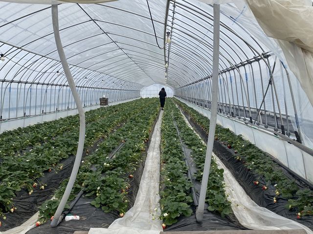 �n�E�X��_���y���_��