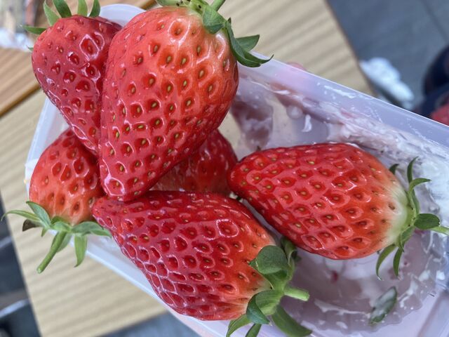 �ג����^�C�v��ނ̃C�`�S�ł�_���������z�C��