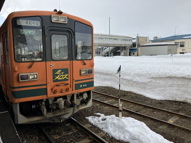 �Ƃ����񂳂�̒Ìy�܏��쌴�w�̓��e�ʐ^1