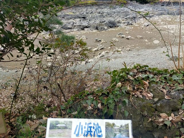 �~�͂�̏��l�r_�O���s�������@�y����