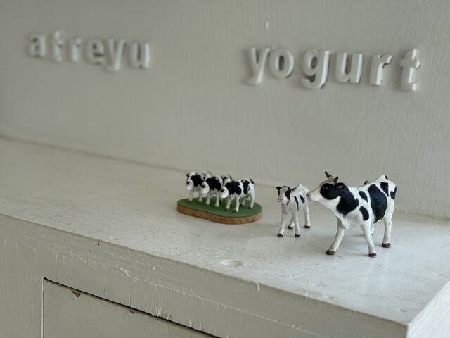 �����̃t�B�M���A_���[�O���g�H�[�A�g���C��