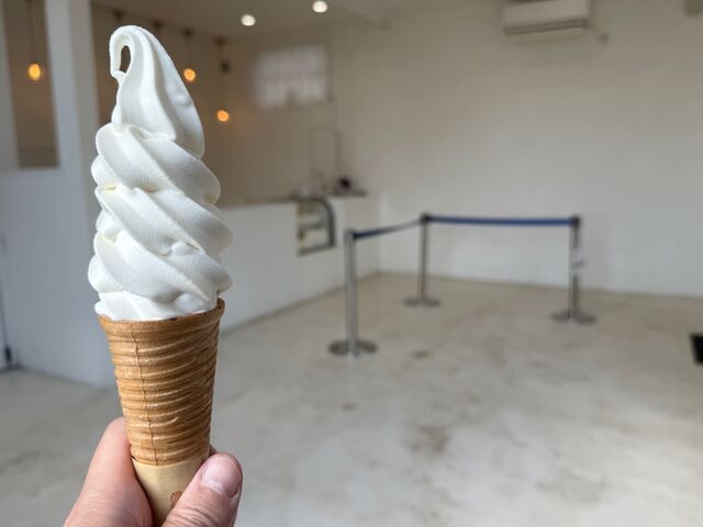 �Z���Ȗ��킢�̃\�t�g�N���[��_���[�O���g�H�[�A�g���C��