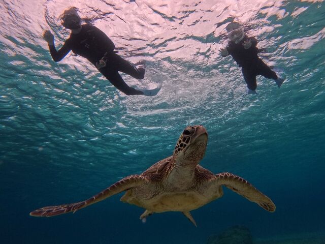 �ʐ^���肪�Ƃ��������܂���_�}�[���{�Ó�