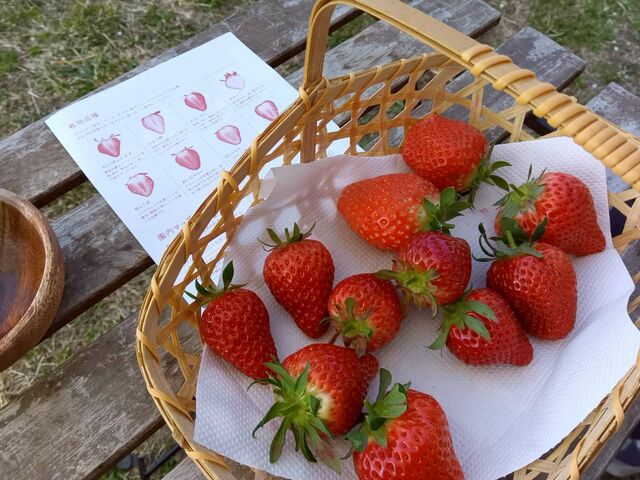 �i����o���Ă����̂���ςł����i�΁j_���уx���[��