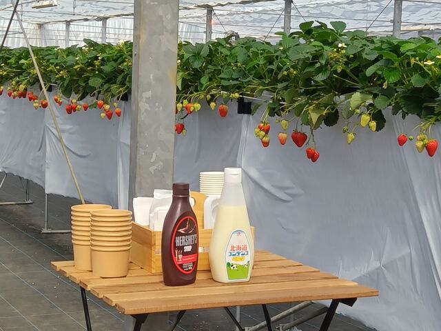 �����ƃ`���R�\�[�X�́A�Z���t�ōD���ȕ��A�g���܂���_�������̂���ۂ݂�