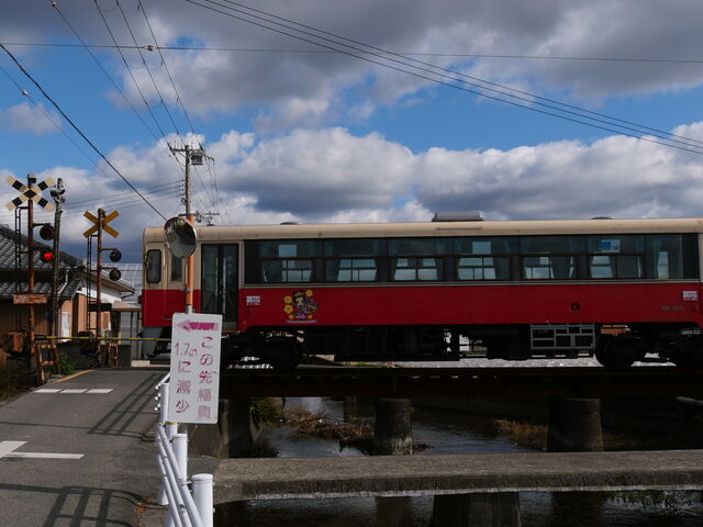 �P���̃f�C�[�[���J�[����R�L���̘H�����������Ă��܂��B_�I�B�S��