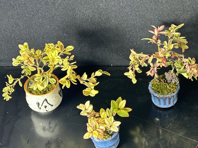 �~�j�~��_�L����