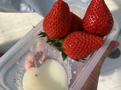 �܂�Ղ� ���������̎ʐ^2