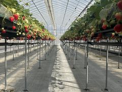 ���т��������̎ʐ^3