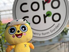 �R���R���������t�@�[�� �K�[�f���̎ʐ^1