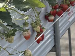 KuroJim����̂����������c�ւ̓��e�ʐ^1