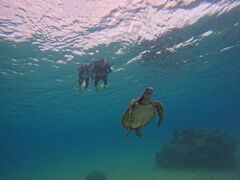 OKIDOKI�}�����c�A�[�{�Ó��̎ʐ^1