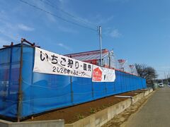 �������̂���ۂ݂��̎ʐ^4