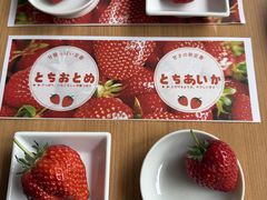 �~���C����̃z�e���}�C�X�e�C�Y�v���~�A���c�ւ̓��e�ʐ^1