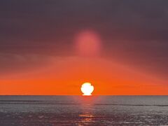 OKIDOKI�}�����c�A�[�{�Ó��̎ʐ^1