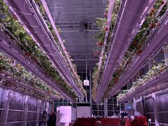 ��� (���炢����)�̎ʐ^1