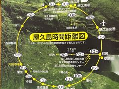 屋久島のクチコミ一覧 - じゃらんnet