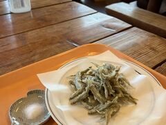 ���C�N�T�C�h�Ƃ���̎ʐ^3