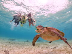 nico �{�Ó��̎ʐ^1