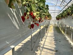 ���z�l�_���̎ʐ^1