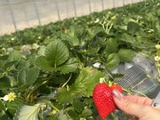 ����������̏��т��������̓��e�ʐ^2