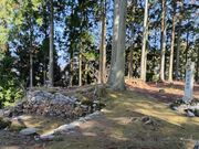 ������������̊��n��Ղ̓��e�ʐ^8