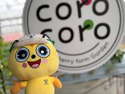 �A�l���l����̃R���R���������t�@�[�� �K�[�f���̓��e�ʐ^1