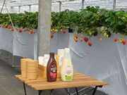 �߂�����̂������̂���ۂ݂��̓��e�ʐ^3